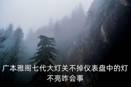 廣本雅閣七代大燈關不掉儀表盤中的燈不亮咋會事