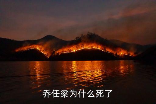 喬任梁為什么死了