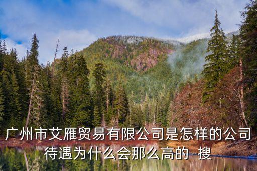 廣州市艾雁貿(mào)易有限公司是怎樣的公司待遇為什么會那么高的  搜