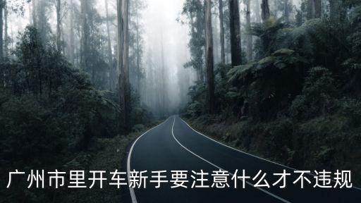 廣州市里開車新手要注意什么才不違規(guī)