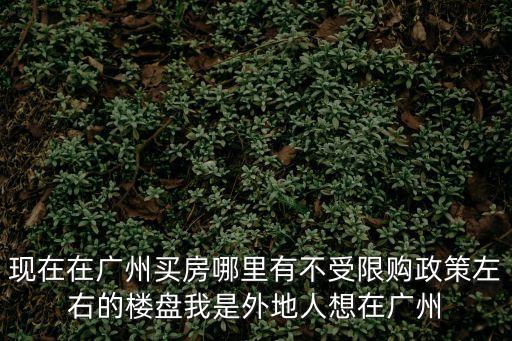 外地人在廣州買房哪里不限購，現(xiàn)在廣州的限購令覆蓋哪些地區(qū)