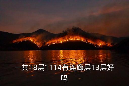 一共18層1114有連廊層13層好嗎