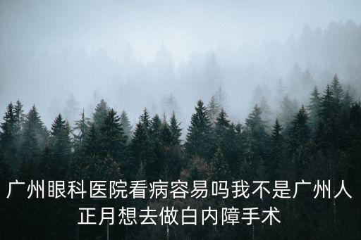廣州眼科醫院看病容易嗎我不是廣州人正月想去做白內障手術
