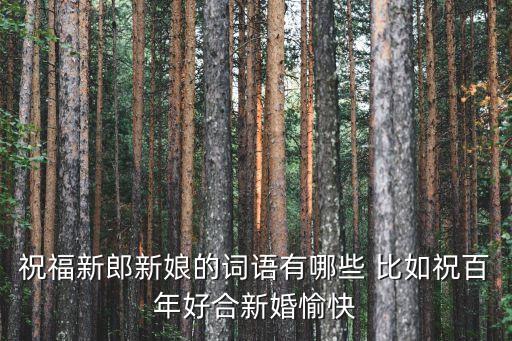 祝福新婚的詞語，新婚快樂祝福語有哪些