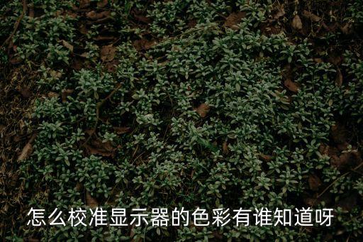 怎么校準顯示器的色彩有誰知道呀
