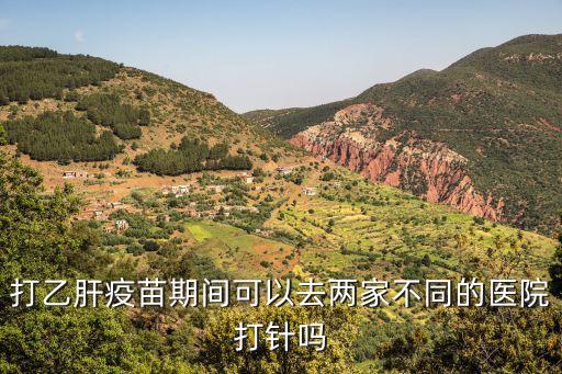 廣州打的第一針可以異地第二針嗎，打乙肝疫苗期間可以去兩家不同的醫(yī)院打針嗎