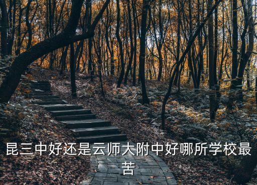 昆三中好還是云師大附中好哪所學校最苦