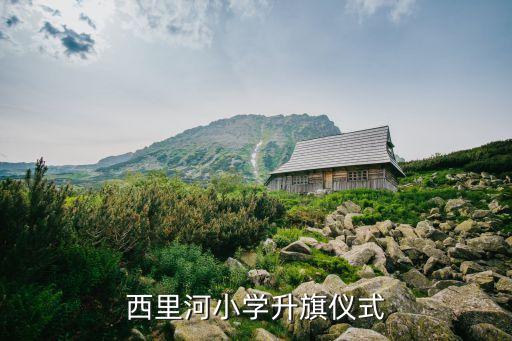 小學升旗儀式，西里河小學升旗儀式