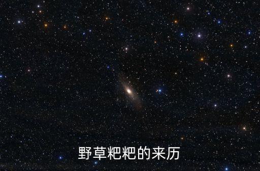 野菜粑粑，野菜粑粑的家常做法大全怎么做好吃視頻