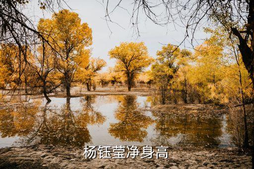 楊鈺瑩身高，楊鈺瑩才158高