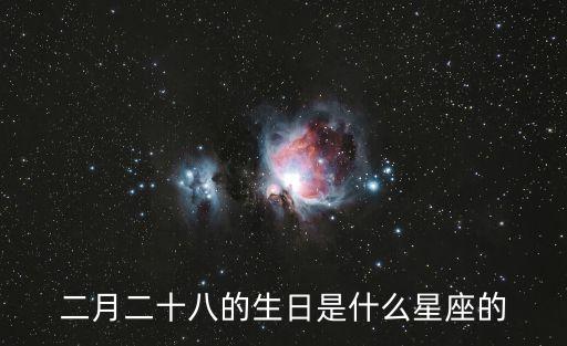 二月二十八的生日是什么星座的