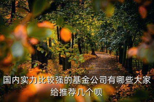 國內實力比較強的基金公司有哪些大家給推薦幾個唄
