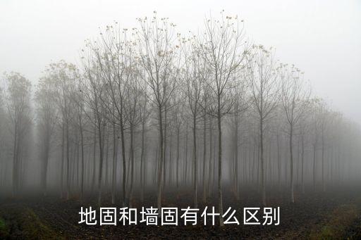 墻固地固，墻固地固是什么東西是裝修中必須的工藝嗎在哪個步驟前后  搜
