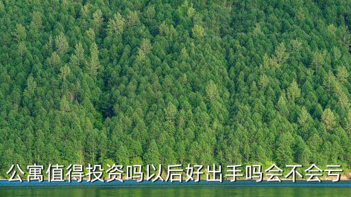 公寓值得投資嗎以后好出手嗎會不會虧