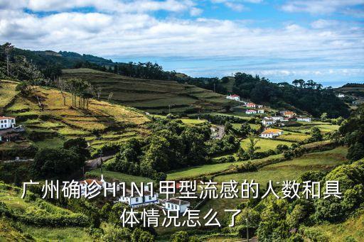 廣州確診 詳情，甲型h1n1流感 廣州發(fā)生了幾起