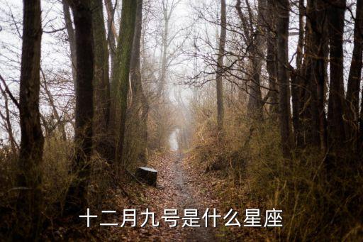12月9號是什么星座，十二月九號是什么星座