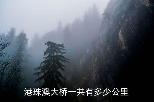 港珠澳大橋總長，港珠澳大橋全長多少 跨海段多長