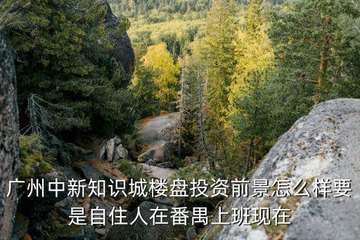 廣州中新知識城樓盤投資前景怎么樣要是自住人在番禺上班現在