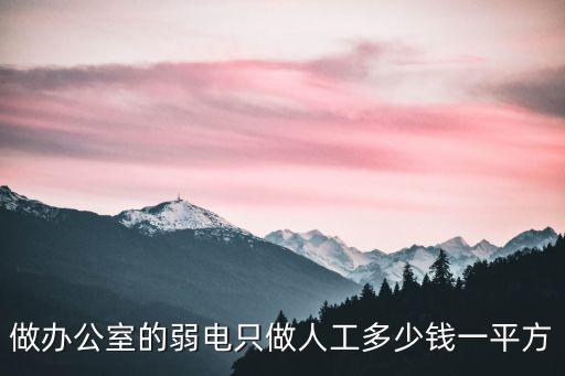 做辦公室的弱電只做人工多少錢一平方
