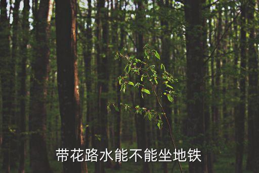 廣州地鐵能不能帶玻璃水，請(qǐng)問廣州地鐵可以帶液體嗎