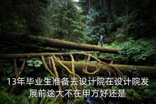 13年畢業生準備去設計院在設計院發展前途大不在甲方好還是