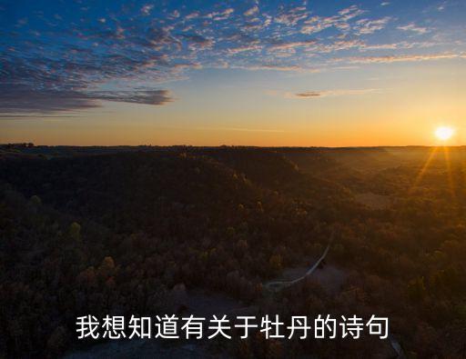 牡丹詩詞，寫牡丹詩句