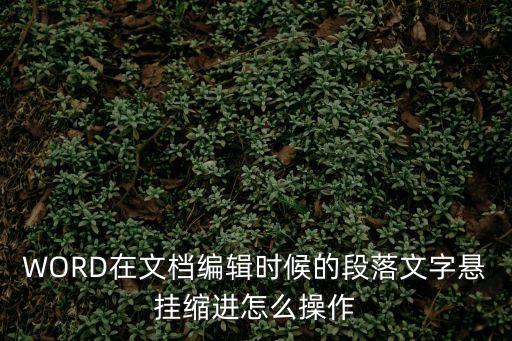 WORD在文檔編輯時(shí)候的段落文字懸掛縮進(jìn)怎么操作