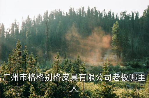 廣州市林武陽，廣州市豐影影視廣告公司那個兇惡女人是誰