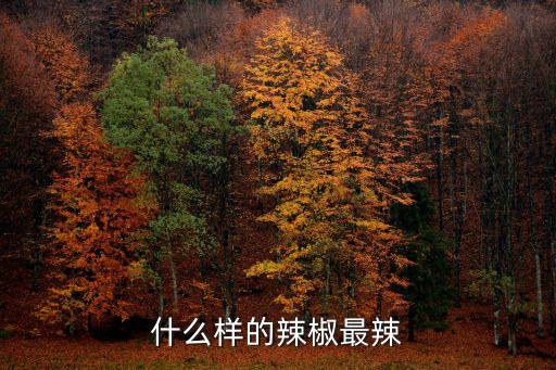 什么辣椒最辣，什么樣的辣椒最辣