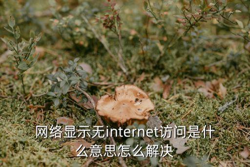 網絡顯示無internet訪問是什么意思怎么解決