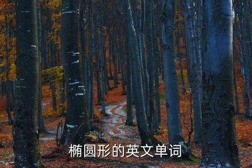 橢圓形的英文單詞