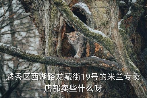 廣州越秀區西湖路龍藏街，越秀區西湖路龍藏街19號的米蘭專賣店都賣些什么呀