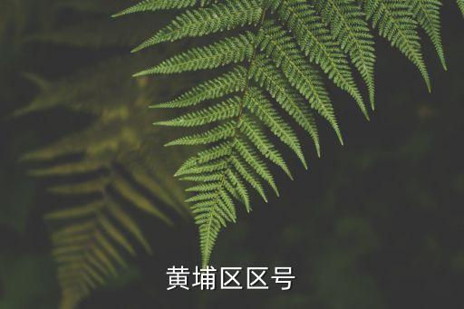 廣州市黃埔區瑞東新街1號郵編，黃埔區區號