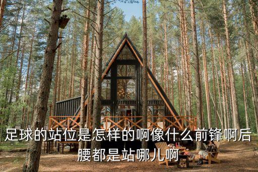 足球的站位是怎樣的啊像什么前鋒啊后腰都是站哪兒啊