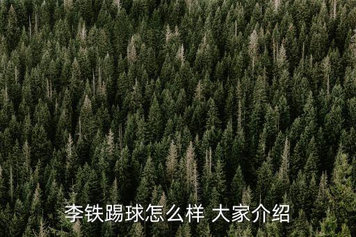李鐵踢球怎么樣 大家介紹
