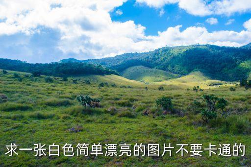 白色簡(jiǎn)約壁紙，求一張白色簡(jiǎn)單漂亮的圖片不要卡通的