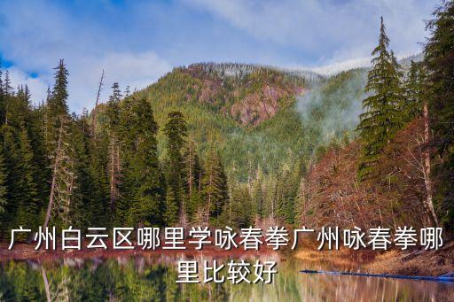 廣州白云區哪里學詠春拳廣州詠春拳哪里比較好