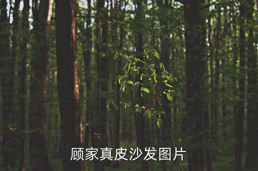 廣州顧家家居圖片，顧家家居的家具價位怎樣便宜嗎