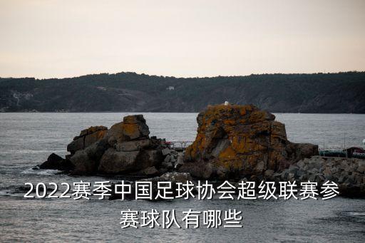 2022賽季中國足球協會超級聯賽參賽球隊有哪些