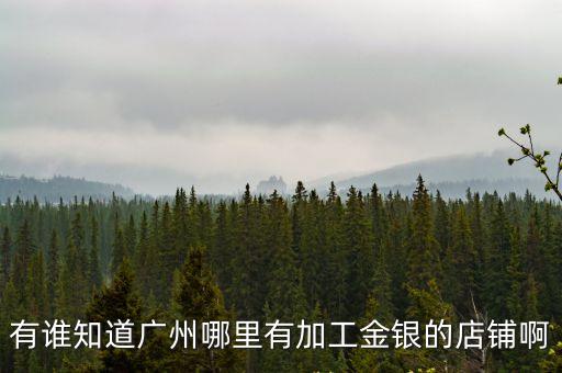 有誰(shuí)知道廣州哪里有加工金銀的店鋪啊