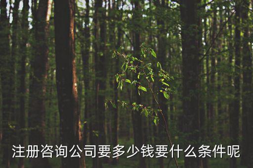 注冊咨詢公司要多少錢要什么條件呢