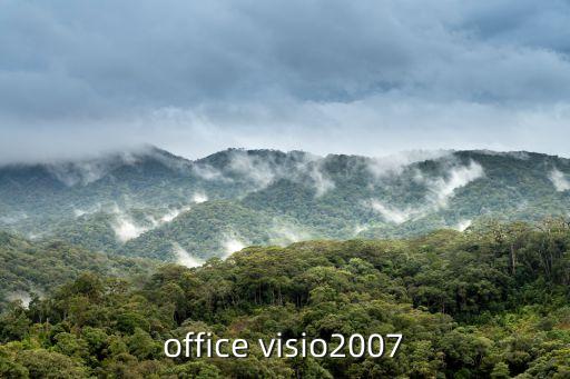office visio2007