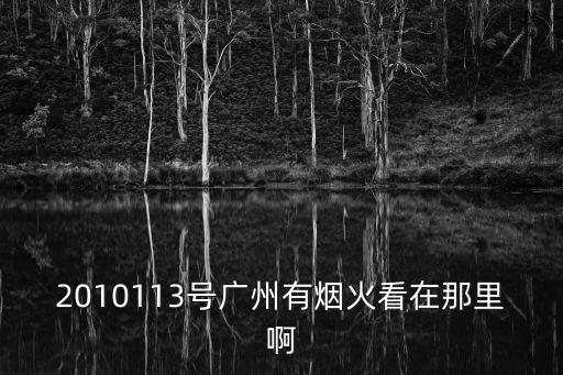 2010113號廣州有煙火看在那里啊