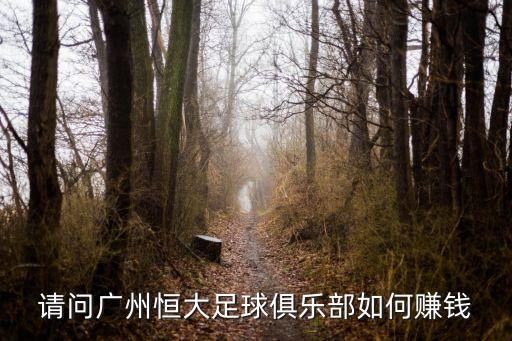 廣州恒大足球成本，廣州恒大砸了多少錢才拿到冠軍的