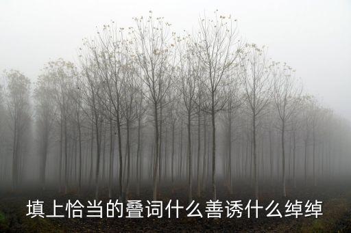 淳淳善誘，填上恰當的疊詞什么善誘什么綽綽