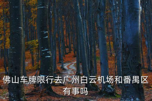 佛山車牌限行去廣州白云機場和番禺區有事嗎