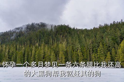 懷孕一個多月夢見一條六條腿比我還高的大黑狗幫我驅趕其的狗