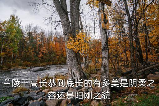 蘭陵王真實長相，蘭陵王到底長的是什么樣子
