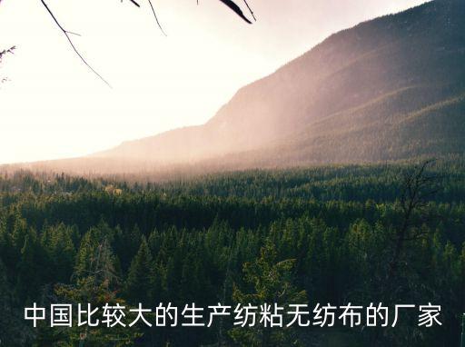 廣州亞紡紡織科技有限責(zé)任公司，春秋丁和春亞紡區(qū)別