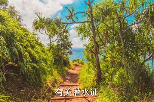 潛水證，潛水證ow和aow的區別仙本那考潛水證費用